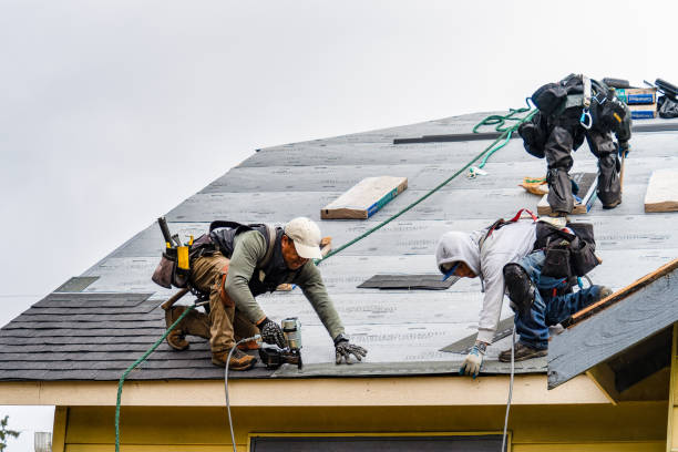 Professional Gutter Installation technician working in Forest Junction, WI